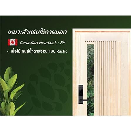 ประตูไม้เฮมล็อกเฟอร์ ไม่เจาะลูกบิด D2D ECO PINE-070 80x200 ซม. สีธรรมชาติ_3