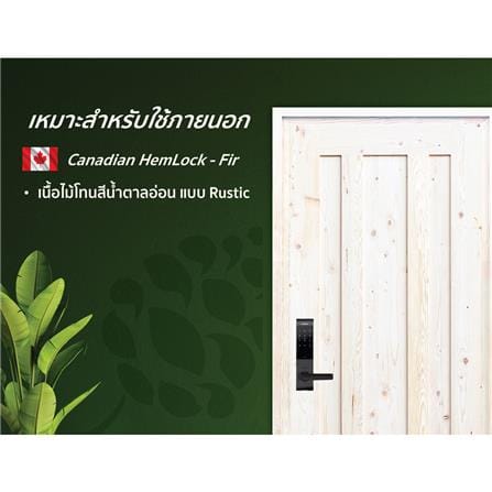 ประตูไม้เฮมล็อกเฟอร์ ไม่เจาะลูกบิด D2D ECO PINE-073 80x200 ซม. สีธรรมชาติ_3