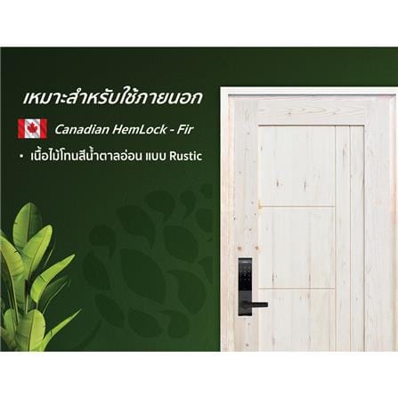 ประตูไม้เฮมล็อกเฟอร์ ไม่เจาะลูกบิด D2D ECO PINE-074 80x200 ซม. สีธรรมชาติ_3
