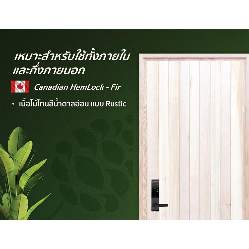 ประตูไม้เฮมล็อกเฟอร์ ไม่เจาะลูกบิด D2D ECO PINE-802 90x200 ซม. สีธรรมชาติ