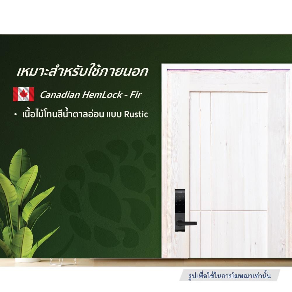 ประตูไม้เฮมล็อกเฟอร์ ไม่เจาะลูกบิด D2D ECO PINE-037 80x200 ซม. สีธรรมชาติ