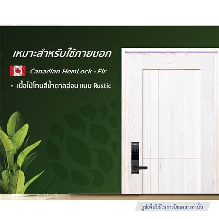 ประตูไม้เฮมล็อกเฟอร์ ไม่เจาะลูกบิด D2D ECO PINE-037 80x200 ซม. สีธรรมชาติ_3