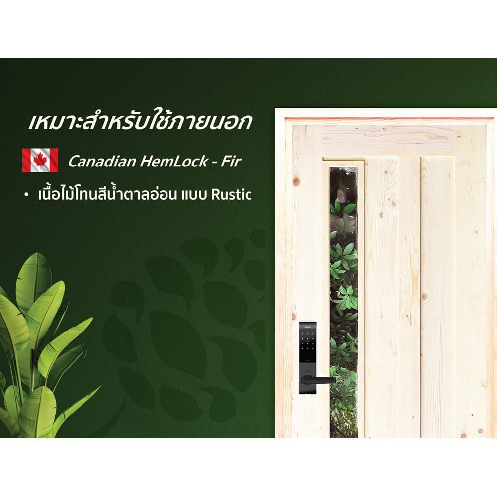 ประตูไม้เฮมล็อกเฟอร์ ไม่เจาะลูกบิด D2D ECO PINE-071 80x200 ซม. สีธรรมชาติ