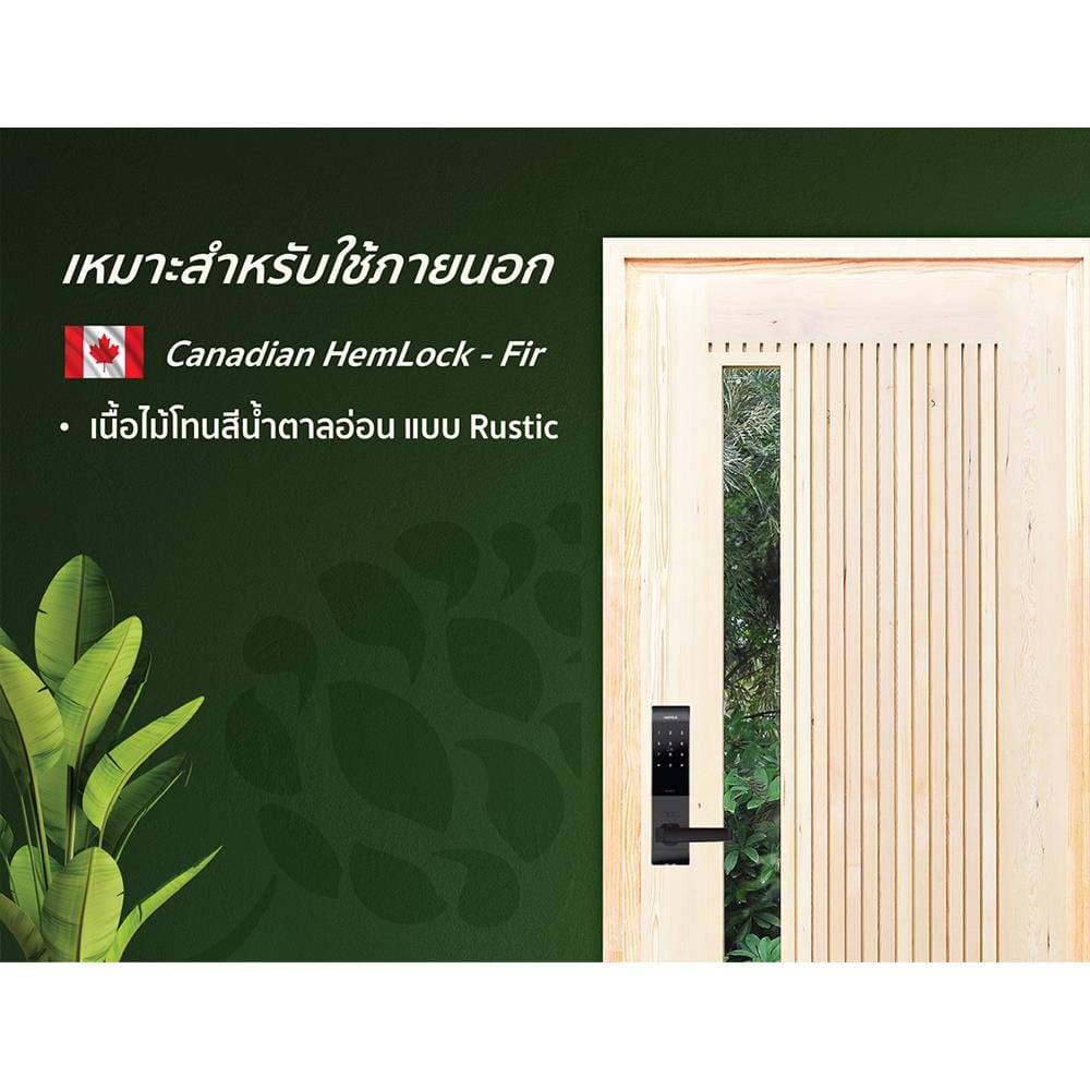 ประตูไม้เฮมล็อกเฟอร์ ไม่เจาะลูกบิด D2D ECO PINE-070 90x200 ซม. สีธรรมชาติ