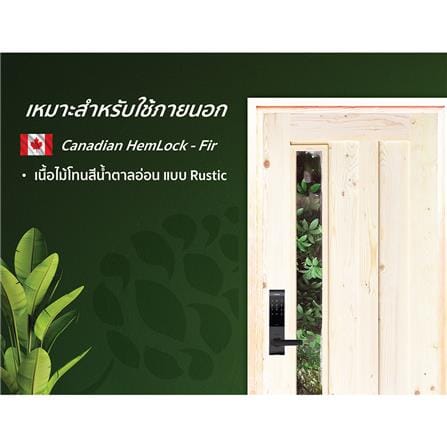 ประตูไม้เฮมล็อกเฟอร์ ไม่เจาะลูกบิด D2D ECO PINE-071 90x200 ซม. สีธรรมชาติ_3
