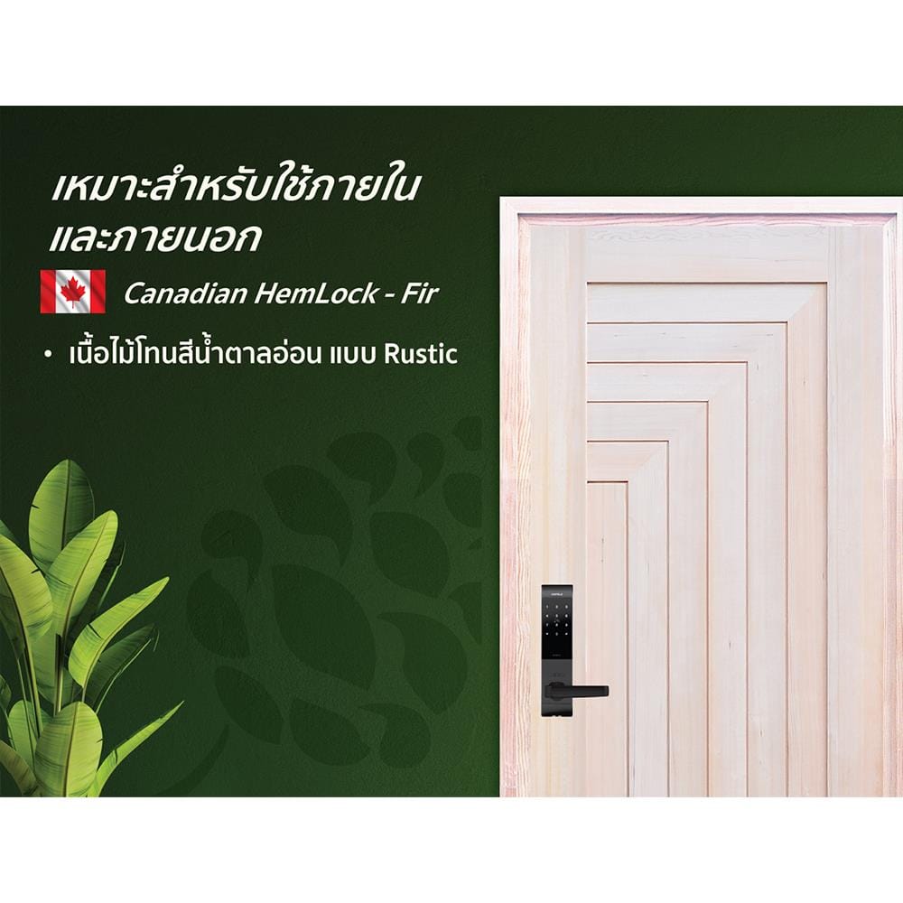 ประตูไม้เฮมล็อกเฟอร์ ไม่เจาะลูกบิด D2D-312 90x200 ซม. สีธรรมชาติ