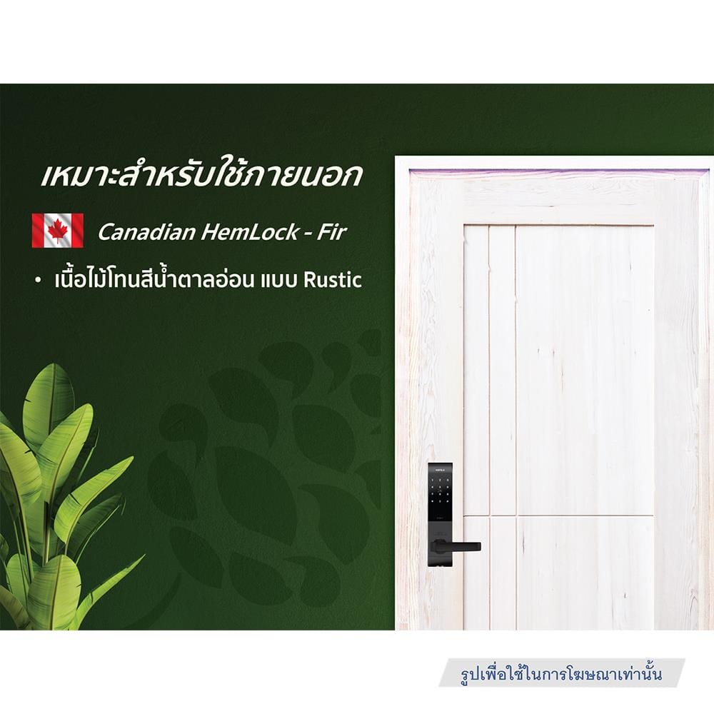 ประตูไม้เฮมล็อกเฟอร์ ไม่เจาะลูกบิด D2D ECO PINE-037 90x200 ซม. สีธรรมชาติ