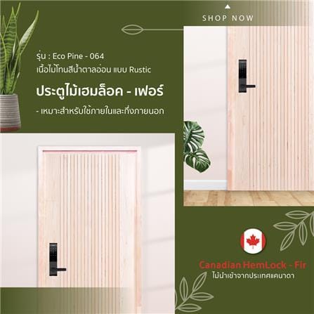 ประตูไม้เฮมล็อกเฟอร์ ไม่เจาะลูกบิด D2D ECO PINE-064 90x200 ซม. สีธรรมชาติ_3
