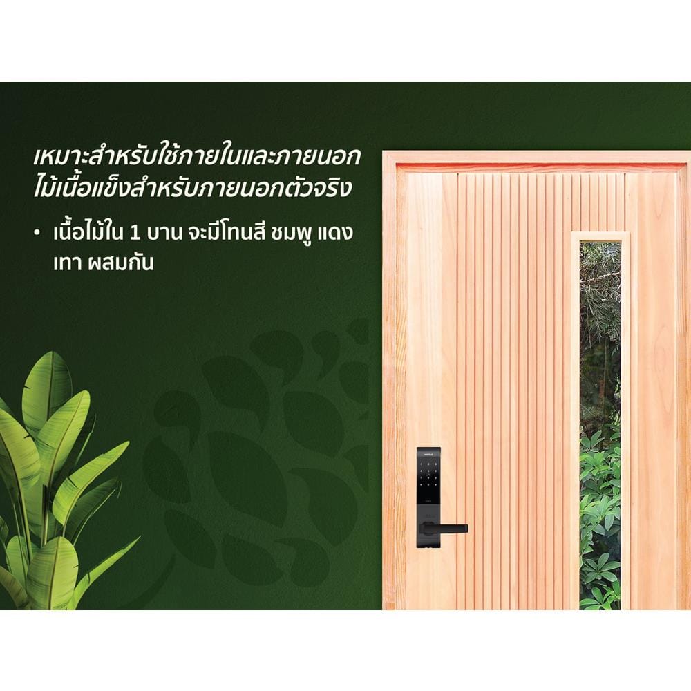 ประตูไม้เรดแกรนด์ดิส ไม่เจาะลูกบิด D2D-913 80x200 ซม. สีธรรมชาติ