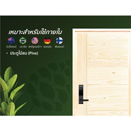 ประตูไม้สนนิวซีแลนด์ ไม่เจาะลูกบิด D2D ECO PINE-805 80x200 ซม. สีธรรมชาติ_3