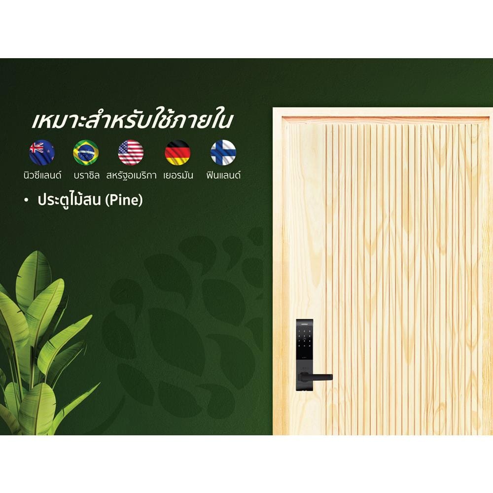 ประตูไม้สนนิวซีแลนด์ ไม่เจาะลูกบิด D2D-910 80x200 ซม. สีธรรมชาติ
