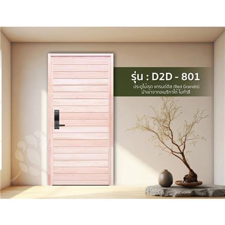 ประตูไม้เรดแกรนด์ดิส ไม่เจาะลูกบิด D2D-801 80x200 ซม. สีธรรมชาติ_2