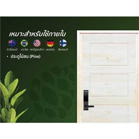 ประตูไม้สนนิวซีแลนด์ ไม่เจาะลูกบิด D2D ECO PINE-811 80x200 ซม. สีธรรมชาติ_3