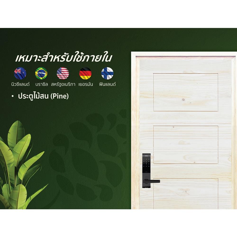 ประตูไม้สนนิวซีแลนด์ D2D ECO PINE-811 90x200 ซม. สีธรรมชาติ ไม่เจาะลูกบิด