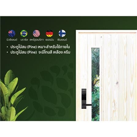 ประตูไม้สนนิวซีแลนด์ ไม่เจาะลูกบิด D2D ECO PINE-813 80x200 ซม. สีธรรมชาติ_2