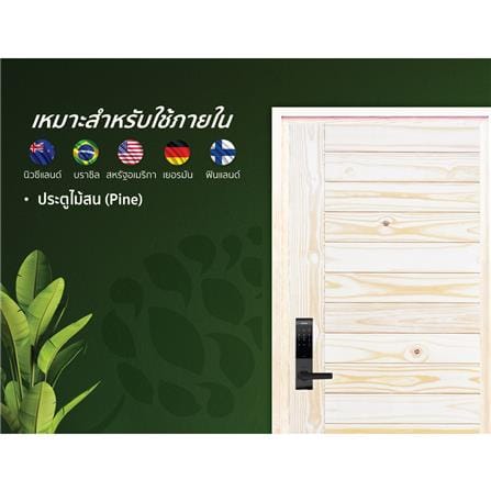 ประตูไม้สนนิวซีแลนด์ D2D ECO PINE-814 90x200 ซม. สีธรรมชาติ ไม่เจาะลูกบิด_3