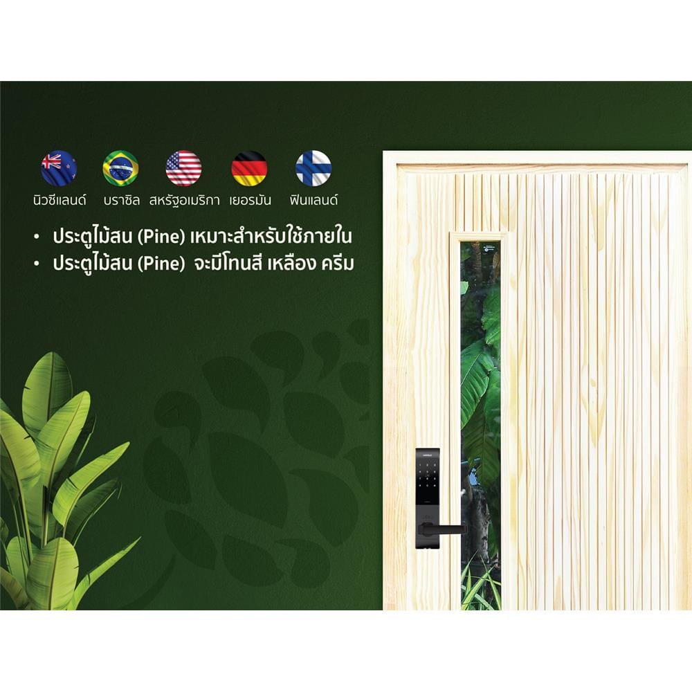 ประตูไม้สนนิวซีแลนด์ ไม่เจาะลูกบิด D2D D2D-912 90x200 ซม. สีธรรมชาติ