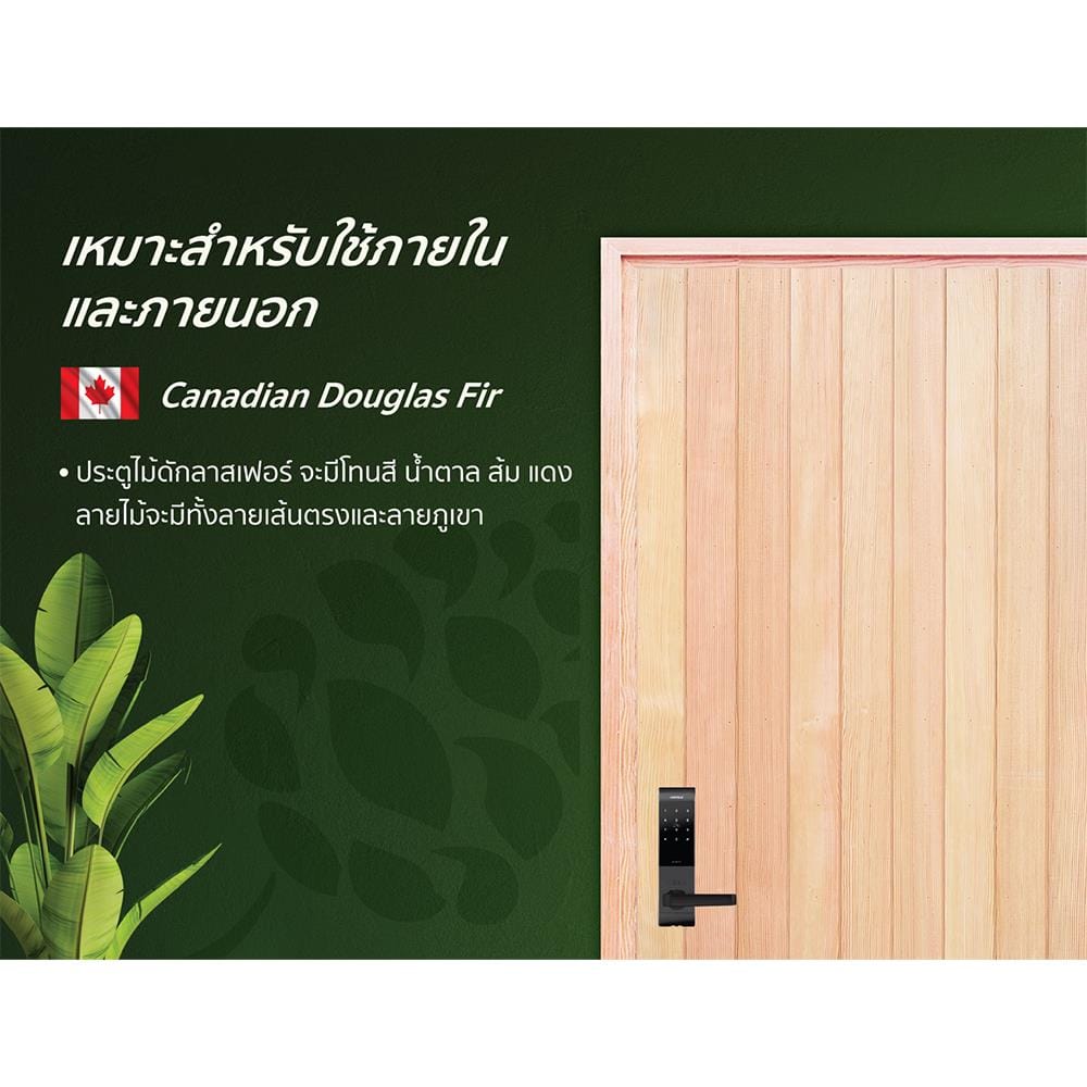 ประตูไม้ดักลาสเฟอร์ ไม่เจาะลูกบิด D2D ECO PINE-802 90x200 ซม. สีธรรมชาติ