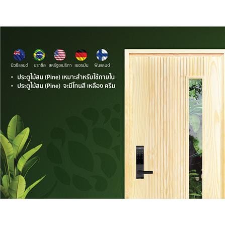 ประตูไม้สนนิวซีแลนด์ ไม่เจาะลูกบิด D2D D2D-913 90x200 ซม. สีธรรมชาติ_3