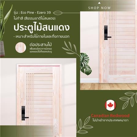 ประตูไม้สนแดง ไม่เจาะลูกบิด D2D EZERO-39 90x200 ซม. สีธรรมชาติ_2