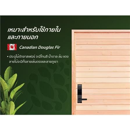 ประตูไม้ดักลาสเฟอร์ ไม่เจาะลูกบิด D2D ECOP PINE-801 90x200 ซม. สีธรรมชาติ_3