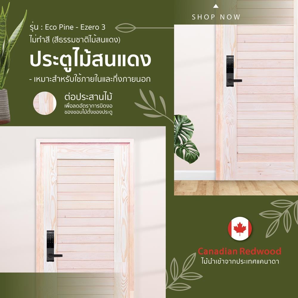 ประตูไม้สนแดง ไม่เจาะลูกบิด D2D EZERO-3 90x200 ซม. สีธรรมชาติ