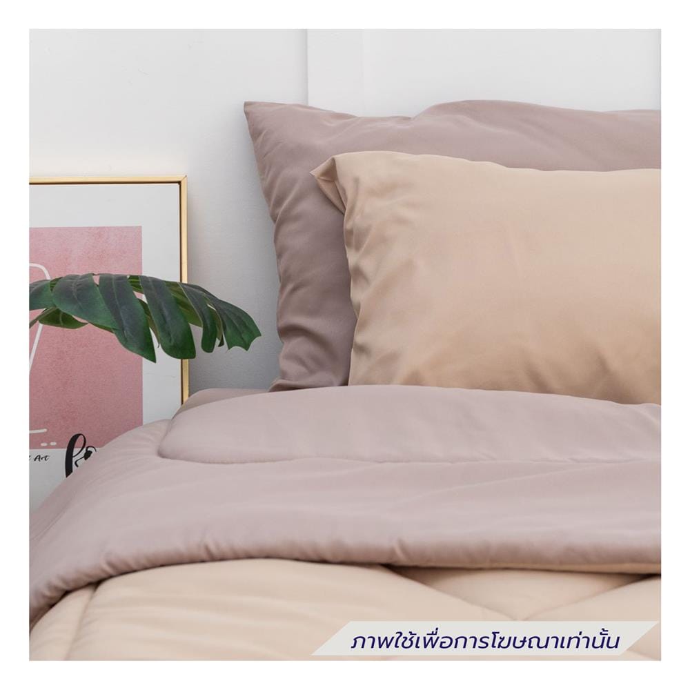 ชุดผ้าปูที่นอน 6 ฟุต (ชุด 6 ชิ้น) SANTA BEDDING สี CREAM/BROWN
