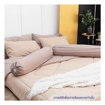 ชุดผ้าปูที่นอน 6 ฟุต (ชุด 6 ชิ้น) SANTA BEDDING สี CREAM/BROWN_2