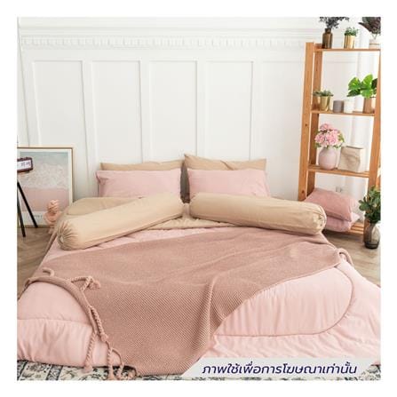 ชุดผ้าปูที่นอน 5 ฟุต (ชุด 6 ชิ้น) SANTA BEDDING สี BROWN/PINK_0