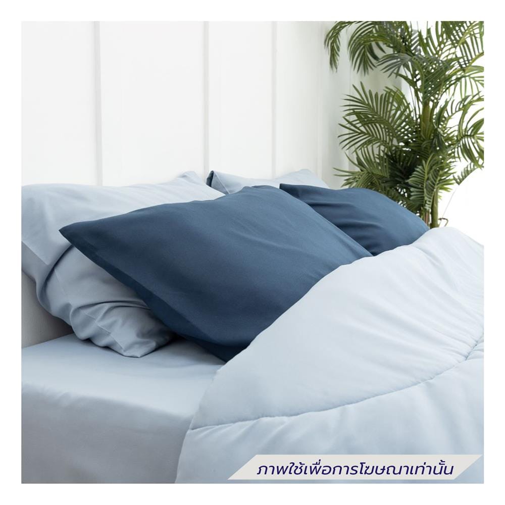 ชุดผ้าปูที่นอน 3.5 ฟุต (ชุด 4 ชิ้น) SANTA BEDDING สี LIGHT BLUE/NAVY BLUE