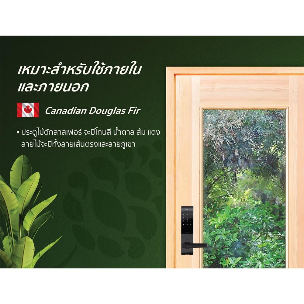 ประตูไม้ดักลาสเฟอร์ ไม่เจาะลูกบิด D2D D2D-419 80x200 ซม. สีธรรมชาติ