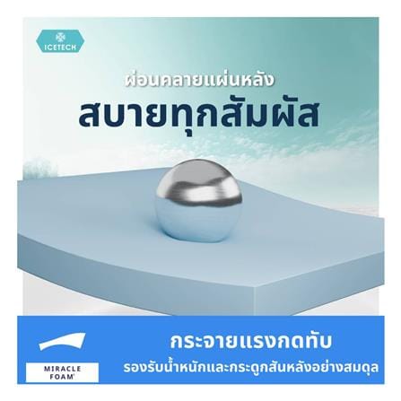 ที่นอนไฮบริด 6 ฟุต LOTUS รุ่น ASCOTT ICETECH พร้อมชุดเครื่องนอน 11 ชิ้น_6