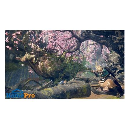 แผ่นเกม NINTENDO SWITCH 2 WILD HEARTS S_6