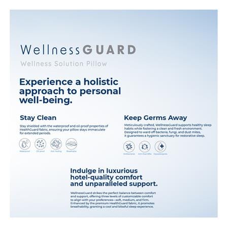 หมอนหนุน ไมโครไฟเบอร์ FROLINA WELLNESS GUARD S BAG 19x29 นิ้ว สีขาว_7