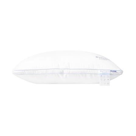 หมอนหนุน ไมโครไฟเบอร์ FROLINA WELLNESS GUARD F BAG 19x29 นิ้ว สีขาว_2
