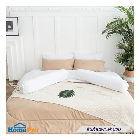 ผ้านวม SANTA BEDDING 70x90 นิ้ว สี BROWN/WHITE_3