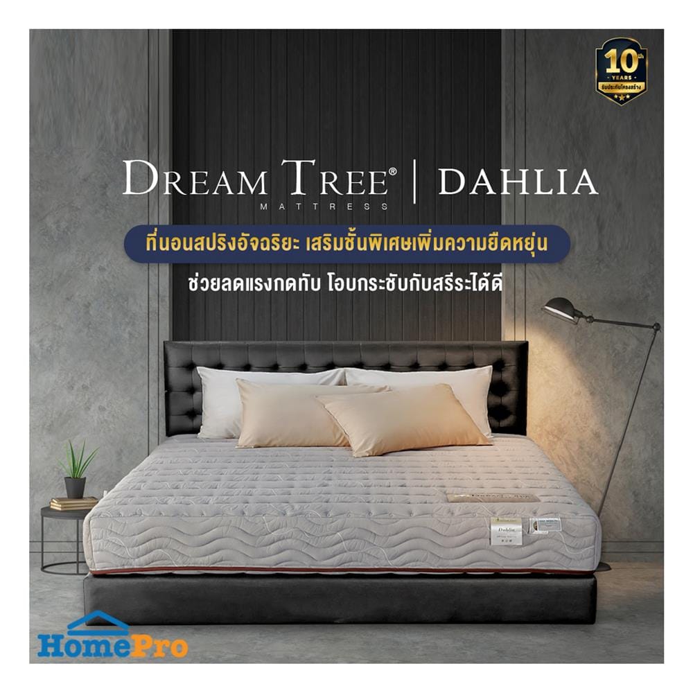 ที่นอนสปริง 5 ฟุต DREAM TREE รุ่น DAHLIA