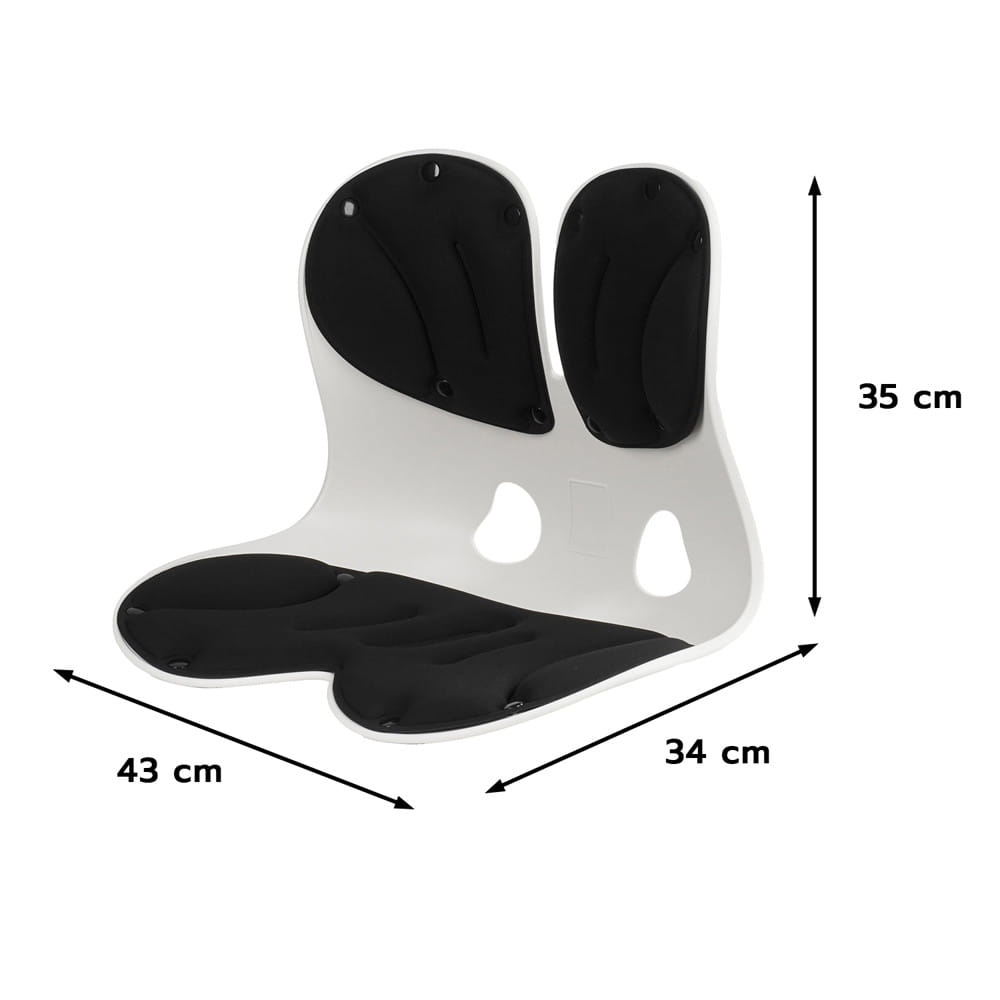 เบาะรองหลัง HOME LIVING STYLE ERGONO 16.5x13.5 นิ้ว สีดำ