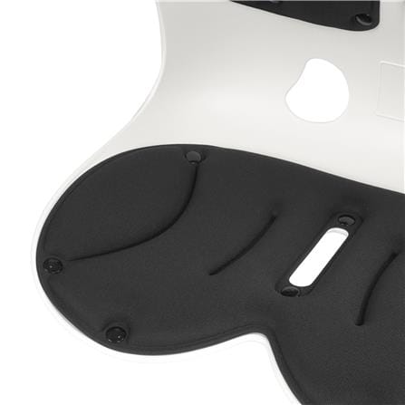 เบาะรองหลัง HOME LIVING STYLE ERGONO 17x13.5 นิ้ว สีดำ_3
