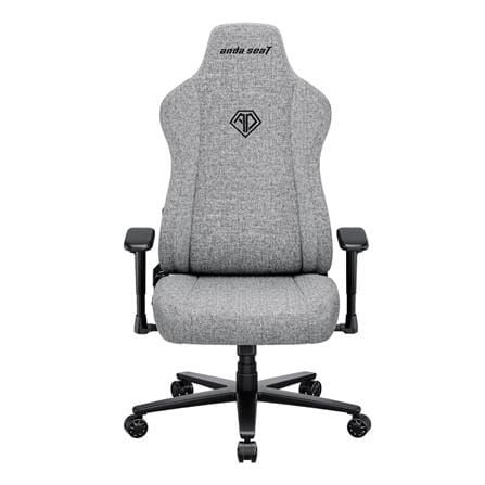 เก้าอี้เกมมิ่ง ANDA SEAT AD23-XL-01-G-F สีเทา_1