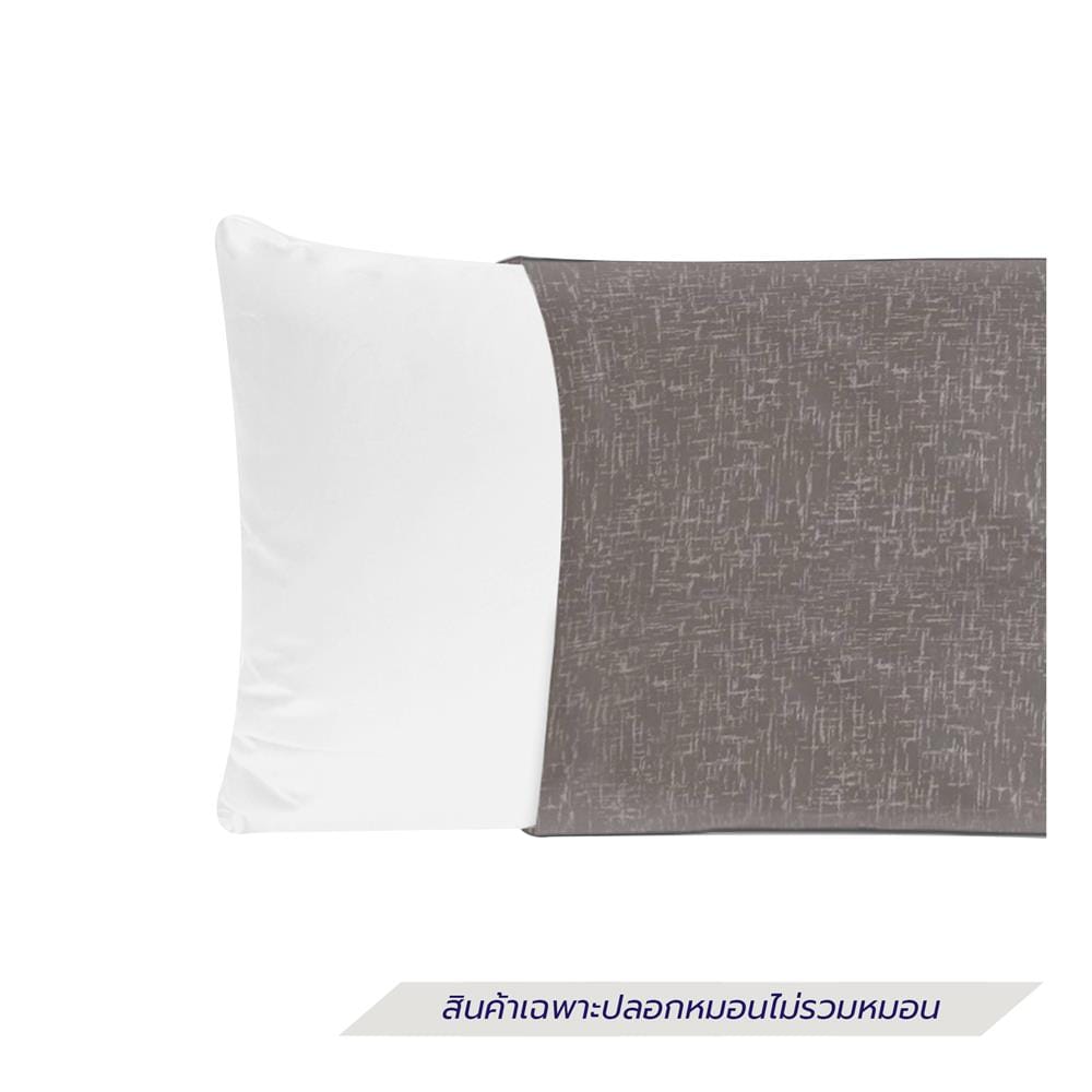 ปลอกหมอนหนุน EXOTICA 42HC สี BROWN