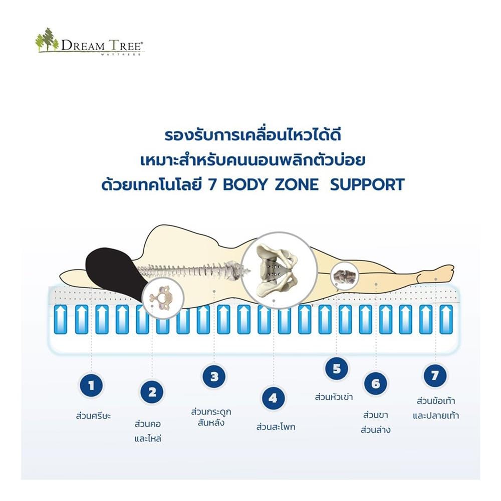 ที่นอนไฮบริด 6 ฟุต DREAM TREE รุ่น DIARY DREAM