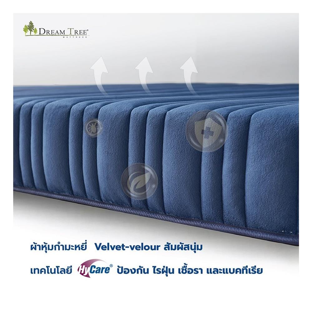 ที่นอนไฮบริด 6 ฟุต DREAM TREE รุ่น DIARY DREAM