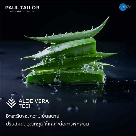 ชุดผ้าปูที่นอน 6 ฟุต (ชุด 3 ชิ้น) OMAZZ PAUL TAILOR ESPRESSO_12