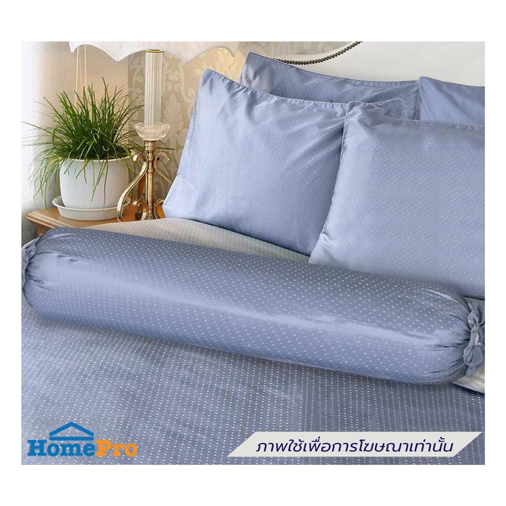 ปลอกหมอนข้าง EXOTICA 42HC สี BLUE