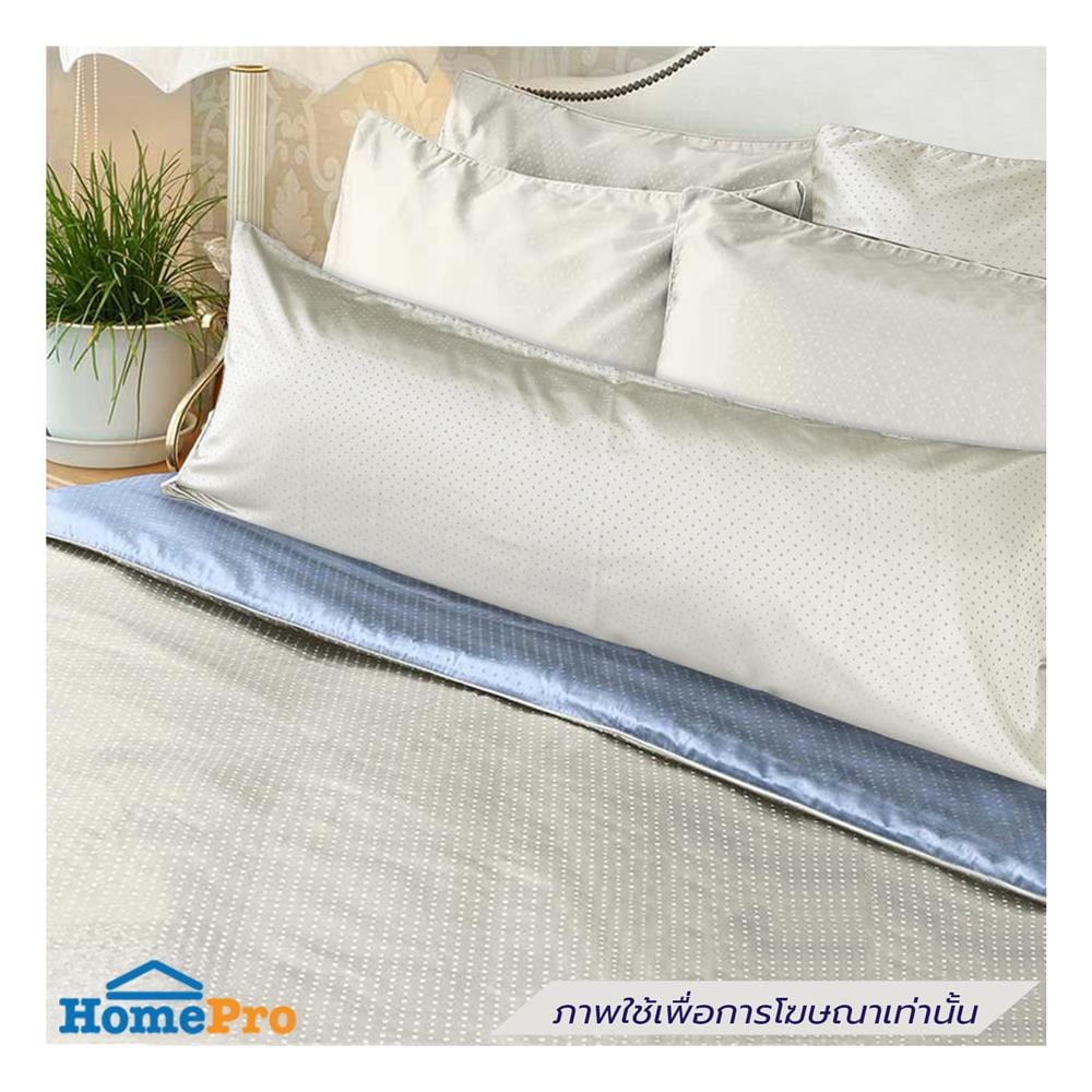 ปลอกหมอน BODY EXOTICA 42HC สี IVORY