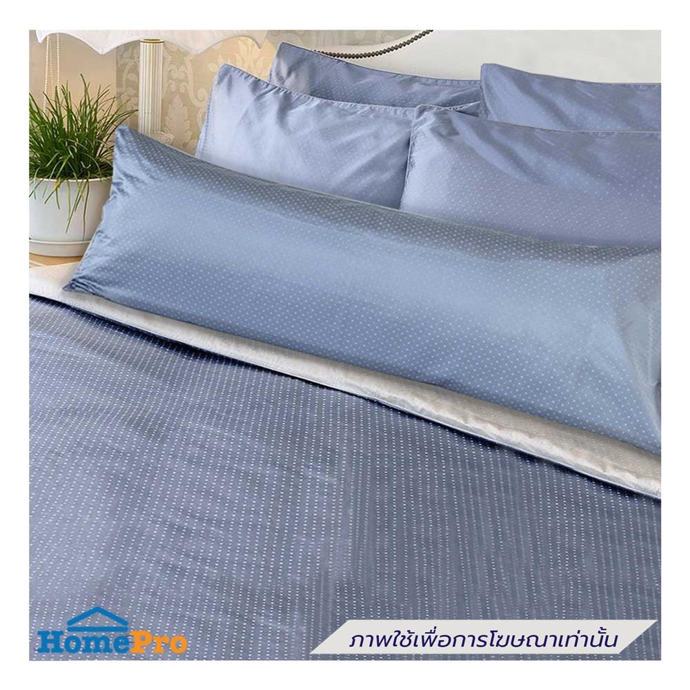 ปลอกหมอน BODY EXOTICA 42HC สี BLUE