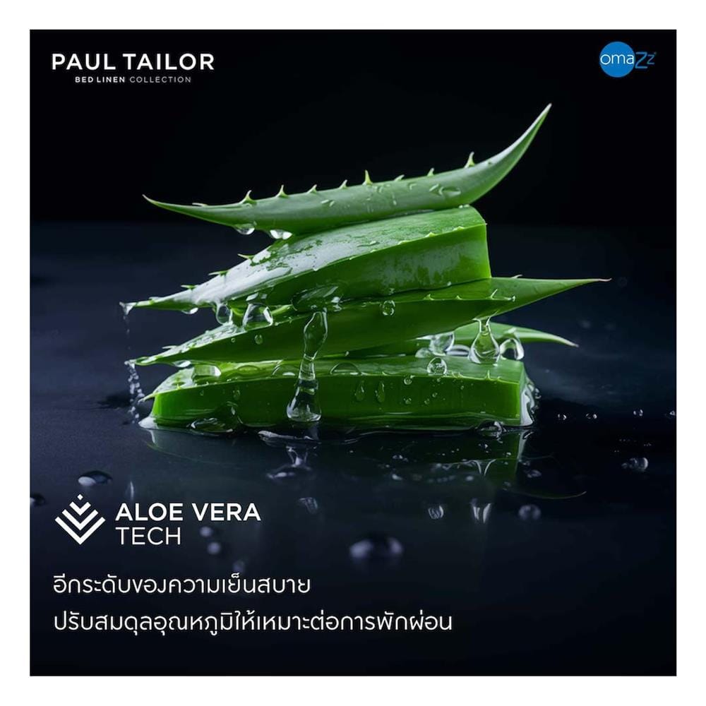 ชุดผ้าปูที่นอน 3.5 ฟุต (ชุด 2 ชิ้น) OMAZZ PAUL TAILOR PACIFIC BLUE