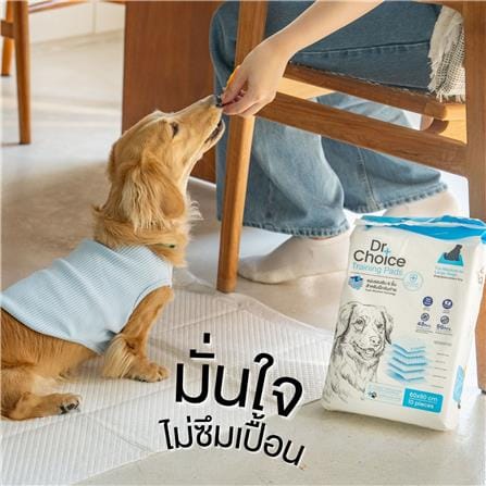 แผ่นรองซับ DR.CHOICE SIZE M 45x60 ซม. (แพ็ก 50 ชิ้น)_2