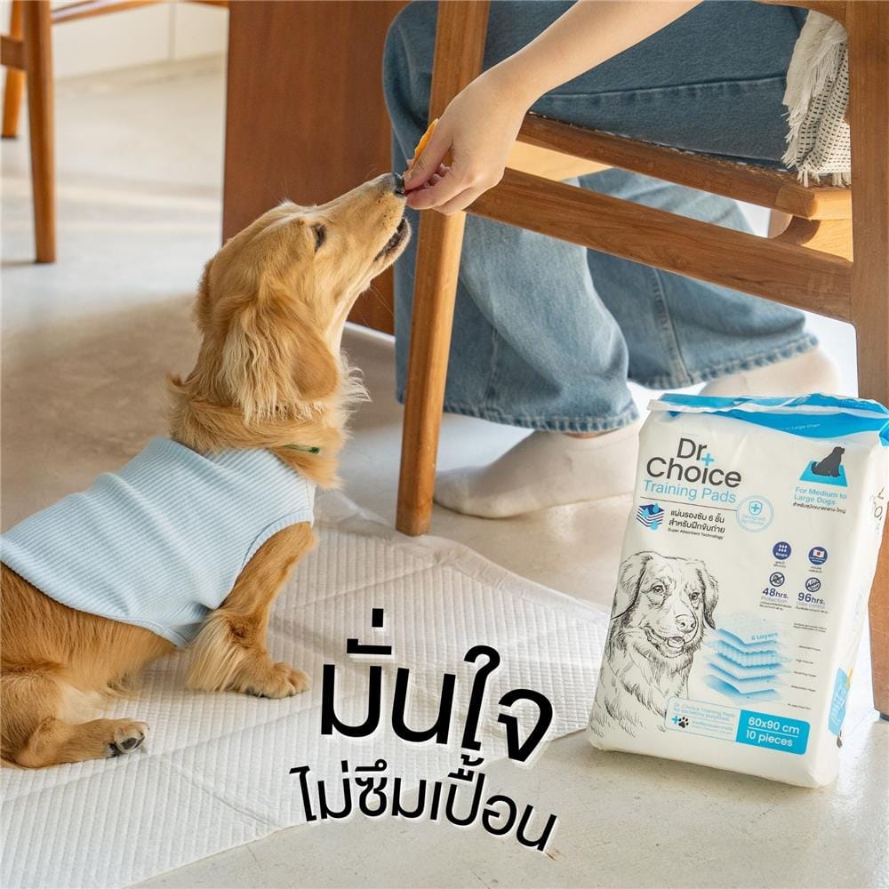 แผ่นรองซับ DR.CHOICE SIZE M 45x60 ซม. (แพ็ก 10 ชิ้น)